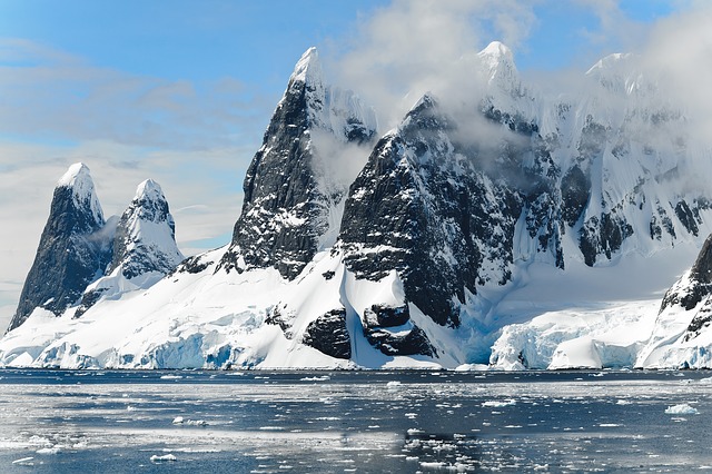 אנטארקטיקה מול הארקטי: 5 דברים שעליך לדעת